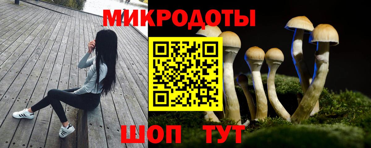 Галлюциногенные грибы Cubensis Кинешма