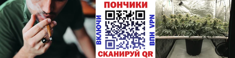 МАРИХУАНА марихуана  Кинешма 